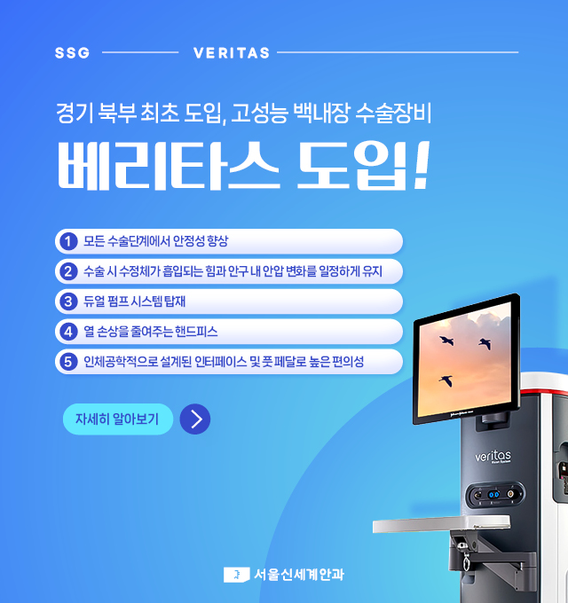 베리타스 도입