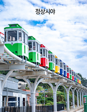정상시야